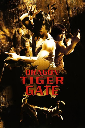 Dragon Tiger Gate (2006) Hindi Dubbed